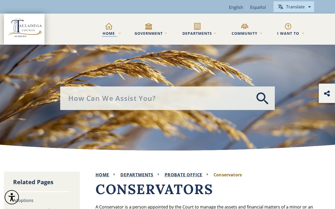 Talladega County Probate Court records conservatorships