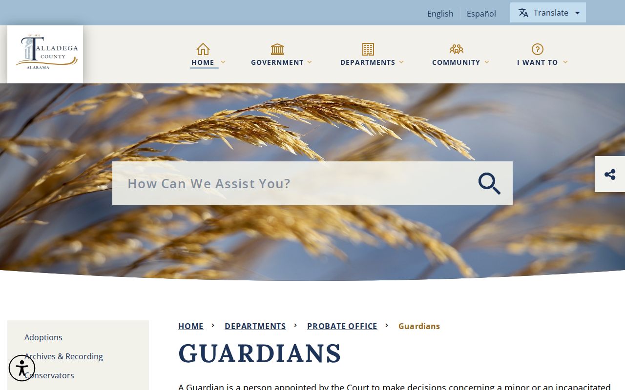 Talladega County Probate Court records guardianships